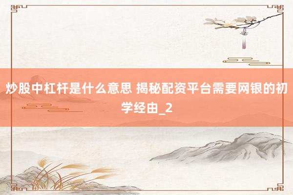 炒股中杠杆是什么意思 揭秘配资平台需要网银的初学经由_2