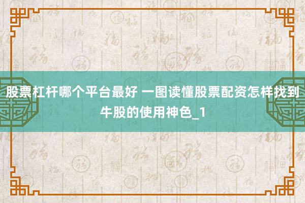 股票杠杆哪个平台最好 一图读懂股票配资怎样找到牛股的使用神色_1
